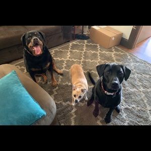 Meet your Posher, Maureen